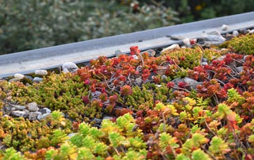the cost of Croyde green roof installation