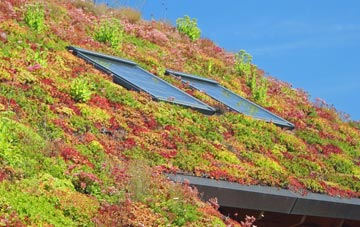 Croyde living roof systems